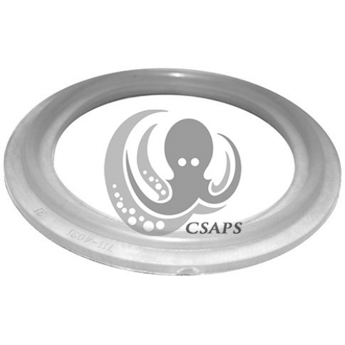 2" Waterway O-Ring Gasket for Buttress Fittings