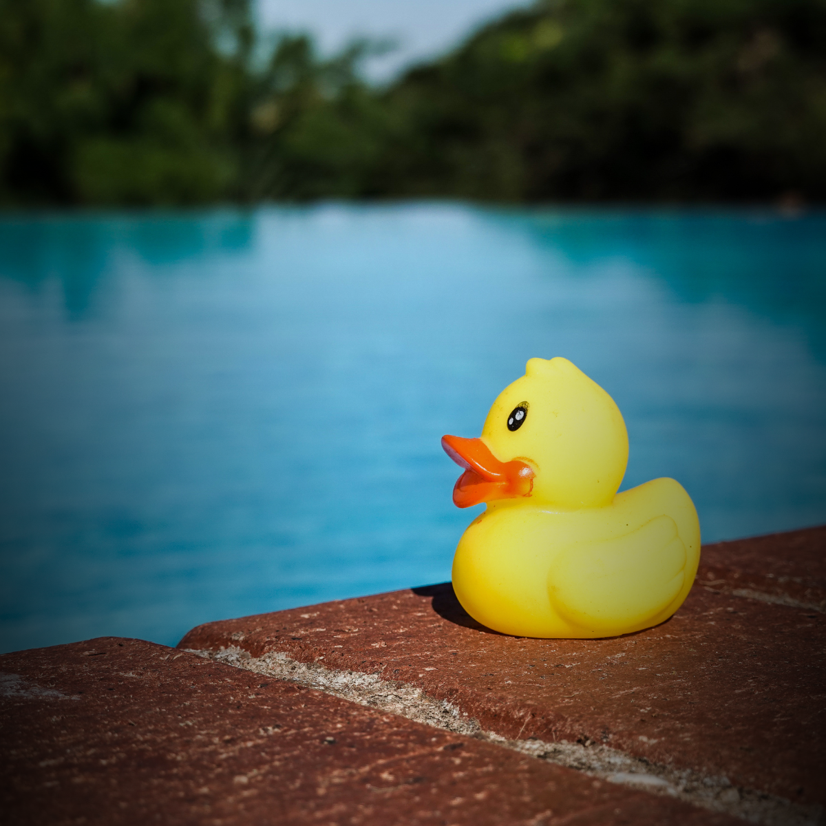 Pool Accessories