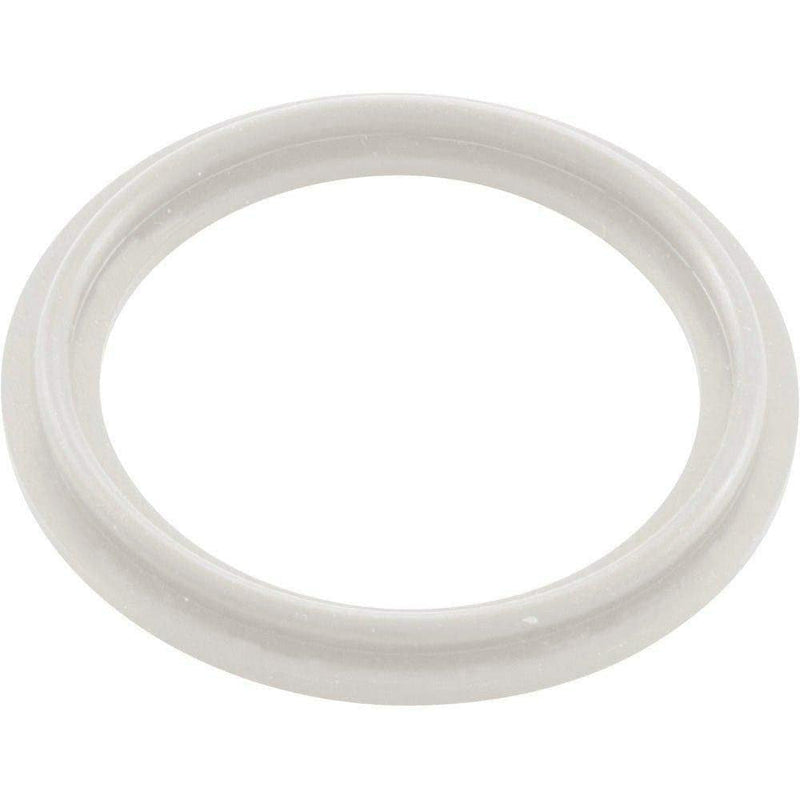 Waterway 2" Gasket – 2-15/16" Outer Diameter Replacement Seal