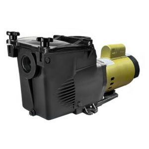 NorthFlo 1 HP Inground Pool Pump – Square Wet End | Dual Voltage 115V/230V