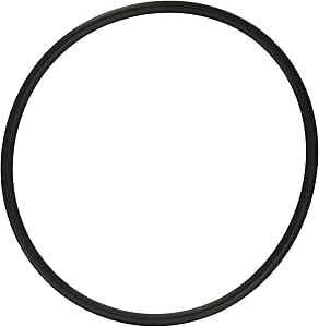 Hayward Strainer Cover O-Ring – SPX3000S Replacement Seal