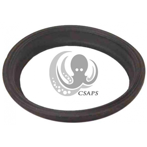 Gasket for 2" Magic Knife Valve – Replacement Sealing Gasket