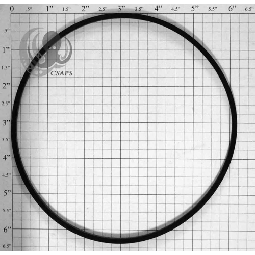 Seal Plate “O” Ring Gasket – 6-1/8" OD Replacement Pump Seal