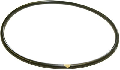 Hayward Chlorinator Cover O-Ring – Viton CLX200K (Fits All Models)