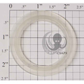 Waterway 1-1/2" O-Ring Gasket