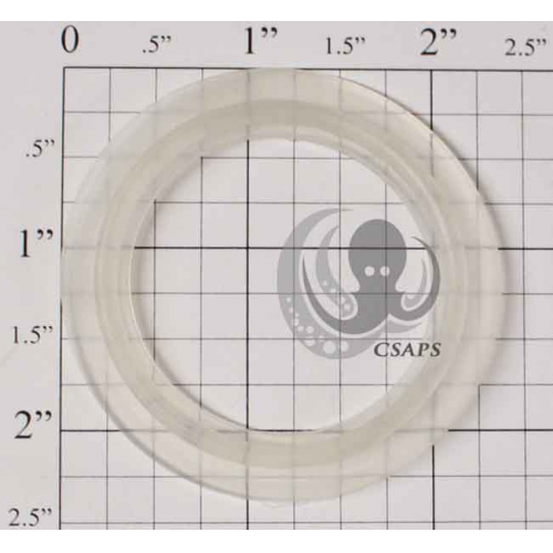 Waterway 1-1/2" O-Ring Gasket