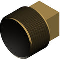 Hayward 3/4" NPT Brass Plug – CZ&HM2 Replacement Part