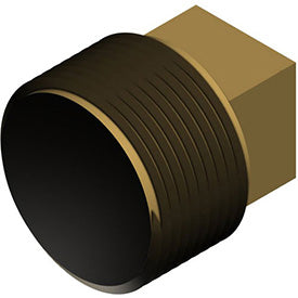 Hayward 3/4" NPT Brass Plug – CZ&HM2 Replacement Part