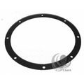 Face Flange Gasket 2-Pack – Fits Jacuzzi MO Main Drain