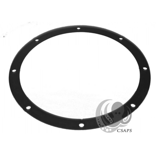 Face Flange Gasket 2-Pack – Fits Jacuzzi MO Main Drain