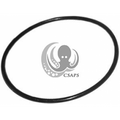 Jandy Valve Cover O-Ring – 6749 Replacement Seal (2-5/8" OD)