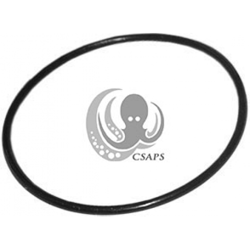 Jandy Valve Cover O-Ring – 6749 Replacement Seal (2-5/8" OD)